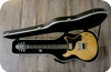 Deimel Guitarworks-Doublestar-2011-Matte