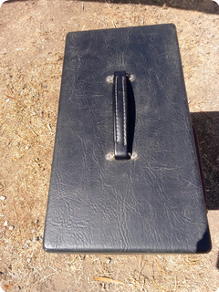 Overbuilt Amps Gemini