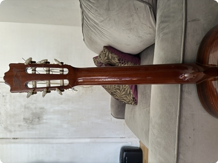 Yamaha  G 245s  1990