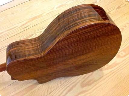 Taylor Baritone 8 String Gt8