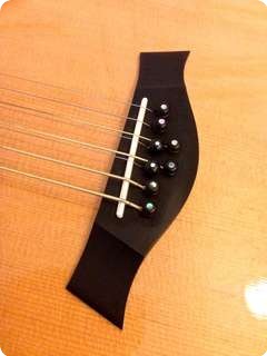 Taylor Baritone 8 String Gt8