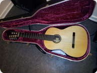 Vaido Petser 7 String 2008