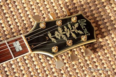 Ibanez Howard Roberts Lawsuit Model 1980