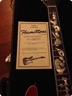 Hamiltone Srv Custom 2010