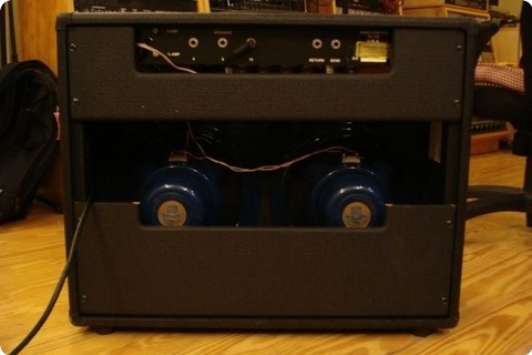 Dr. Z / Trainwreck Modded Stangray 2006 Tolex