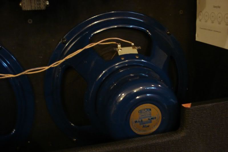 Dr. Z / Trainwreck Modded Stangray 2006 Tolex Amp For Sale
