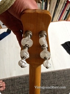 Framus Banjo