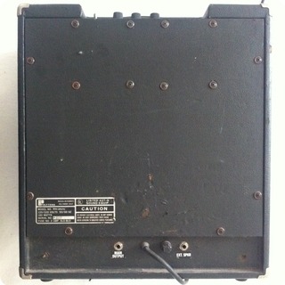 Polytone Mini Brute 1985 Black