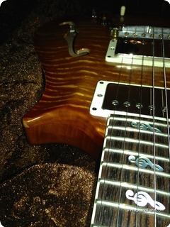 Prs Paul Reed Smith Dweezil Zappa Limited Private Stock