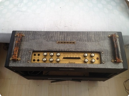 Selmer Uk Thunderbird Twin Thirty 1963 Croc Skin/black