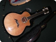 Breedlove-Master Class J-25 Custom Striped Ebony-2008-Natural