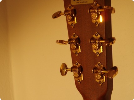 Martin 00 17sh 2000 Transparent