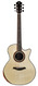 Furch Red Deluxe Gc-LR Indian Rosewood Alpine Spruce