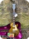 Gibson Les Paul 1969 Goldtop