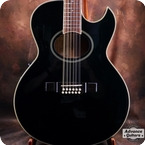 Washburn E 20 MB12 1995