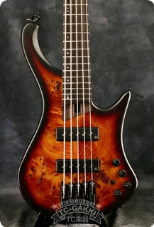 Ibanez 2007 Ehb1505 Def 2007