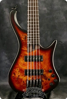 Ibanez 2007 Ehb1505 Def 2007