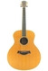 Taylor GS-8 2006