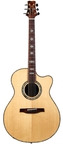 PRS Angelus Cutaway Prototype 33 Steve Fischer 2008