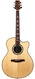 PRS Angelus Cutaway Prototype 33 Steve Fischer 2008