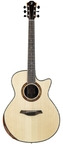 Furch Red Deluxe Gc LR Indian Rosewood Alpine Spruce