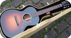 Huss Dalton CR 00 14 Fret Sunburst