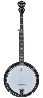 Deering Sierra 5 String Banjo