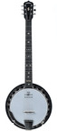 Deering-Boston 6-String Banjo