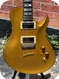 Warrior Guitars-Isabella Gold Top -2007-Gold Top Finish