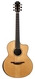 Lowden Pierre Bensusan Honduran Rosewood Adirondack 2018