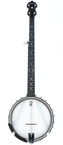 Deering Vega Senator 5 String Banjo Deering Vega Senator 5 String Banjo