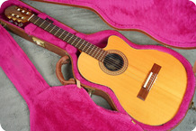 Gibson Chet Atkins CE 1989 Original Natural
