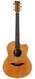 Mcilroy ASP30c 2009