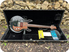 Dan Armstrong (ampeg) Guitars Lucite Guitar With 5 Pickups 1971-Clear