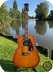 Epiphone FT 79 Texan 1969 Cherry Sunburst