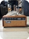 Mesa Boogie Mark IIB Head 1981 Wood Rattan