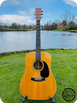 Martin D 28 1974 Natural