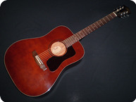 Guild D25M 1975 Mahogany