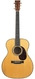 Martin Custom Shop 00042 Wild Grain Rosewood Italian Spruce 2020