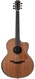 Lowden F50C DLX African Blackwood Sinker Redwood #27329 Lowden F50C DLX African Blackwood Sinker Redwood #27329