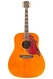 Gibson Hummingbird 1968-Natural