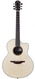 Lowden F50C Brazilian Rosewood Adirondack Spruce