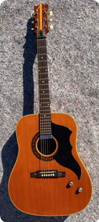 Eko Ranger Vi El 1968 Natural