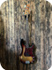 Fender-Precision-1972-Sunburst