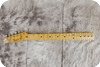 Fender Telecaster Maple Neck 1979 Natural
