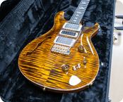 Prs Guitars-Special Semi Hollow 10 Top