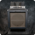 Ampeg B15 1966 Blue Checked Tolex