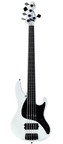 Sandberg California II TM Virgin White Fretless 5 String