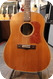 National Guitars -  Model 1155E W Pickup 1960's Natural