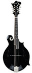 Bourgeois M5F Blacktop F Style Mandolin